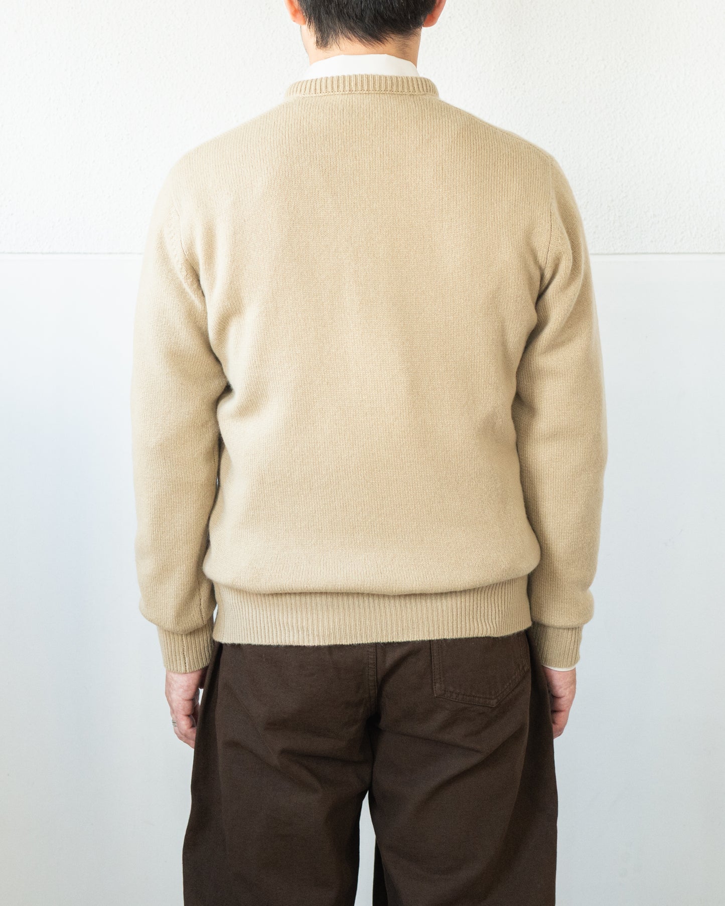 V-NECK SWEATER IN CASHMERE